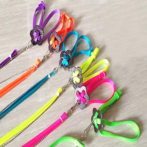 DAYOLY, Pettorina e guinzaglio Regolabile per