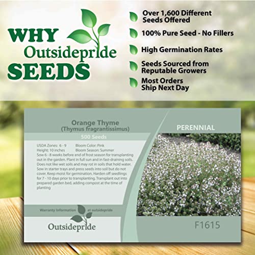Outsidepride Perennial Drought Tolerant Thymus Fragrantissimus Orange Culinary Thyme Herb Plant Seeds - 500 Seeds #TOP3