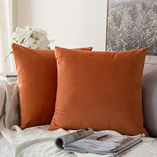 MIULEE Pack of 2 Velvet Soft Decorative Square Throw Pillow Case Cushion Covers Luxury Pillowcases for Livingroom Sofa Bedroom with Invisible Zipper 50cm x 50cm,20x20 Inches Orange