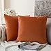 MIULEE Funda Cojines de Terciopelo para Sofa Super Suave Fundas de Almohada de Cama Silla Color Solido Cremallera Oculta Decoración para Sala de Estar Dormitorio Habitacion 2 Piezas 45x45cm Naranja