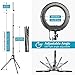 Neewer 14-inch Outer 12-inch Inner Dimmable Ring Light Lighting Kit - 50W Fluorescent Continuous Ring Light, Light Stand, Ball Head,Filter for Portrait Makeup Photography YouTube Studio Video Shooting