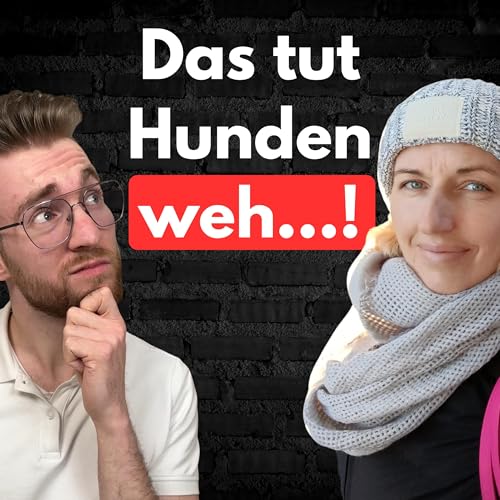 #12 Fellpflege Fehler bei Hunden! Mit Hundefrisörin Anja Peters