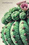 lophophora  LOPHOPHORA WILLIAMSII: Strumenti di guarigione energetica per l\'anima