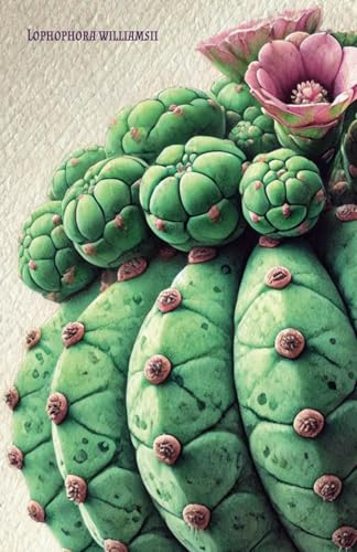 LOPHOPHORA WILLIAMSII: Strumenti di guarigione energetica per l'anima (QUADERNI MEDICINA)