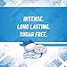 Tic Tac X-FREEZE Sugar Free Breath Mints, Wintergreen,1.7-Ounce (Pack of 8)