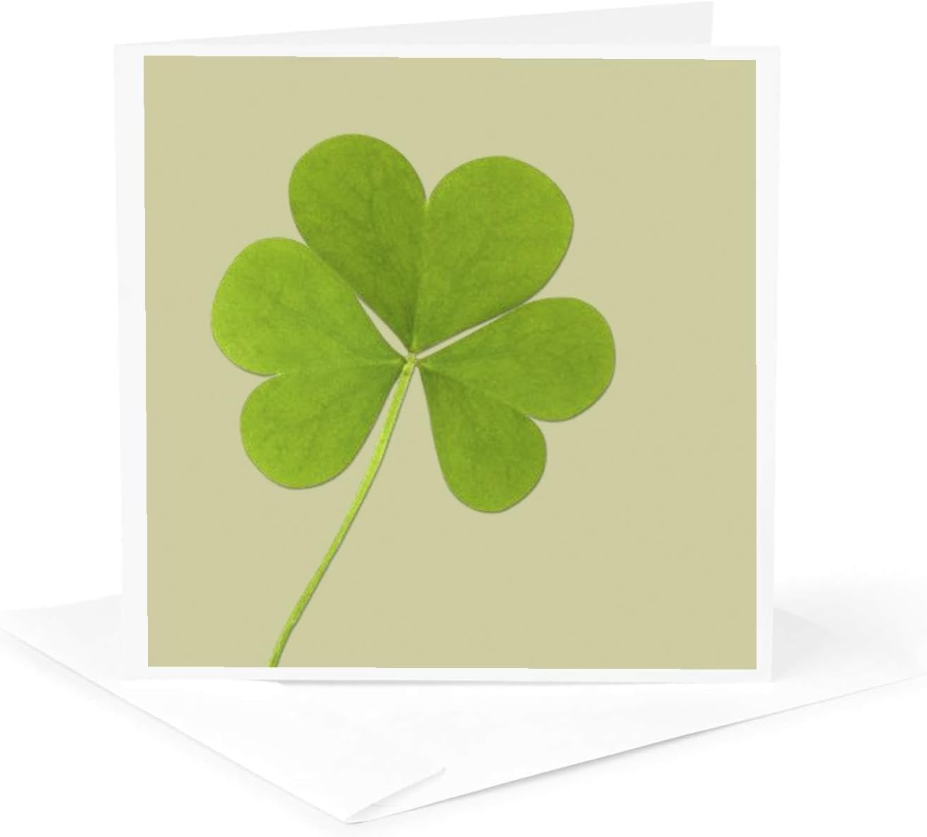 3dRose Green Clover- Irish Art- St. Patricks Day - Greeting Cards, 6 x 6 inches, set of 12 (gc_39339_2)