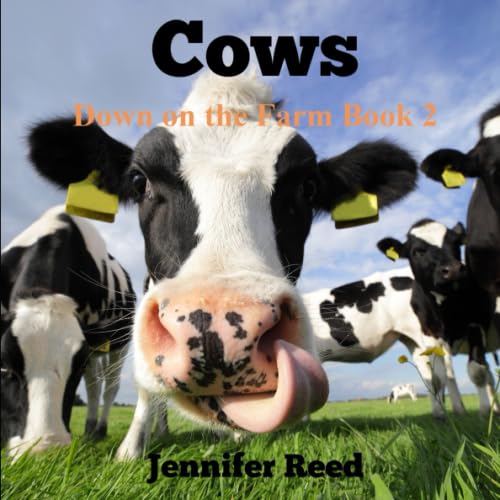 Cows: Fun cow facts and silly cow jokes!