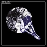 veneers kosten wien  Veneer [Vinyl Single]