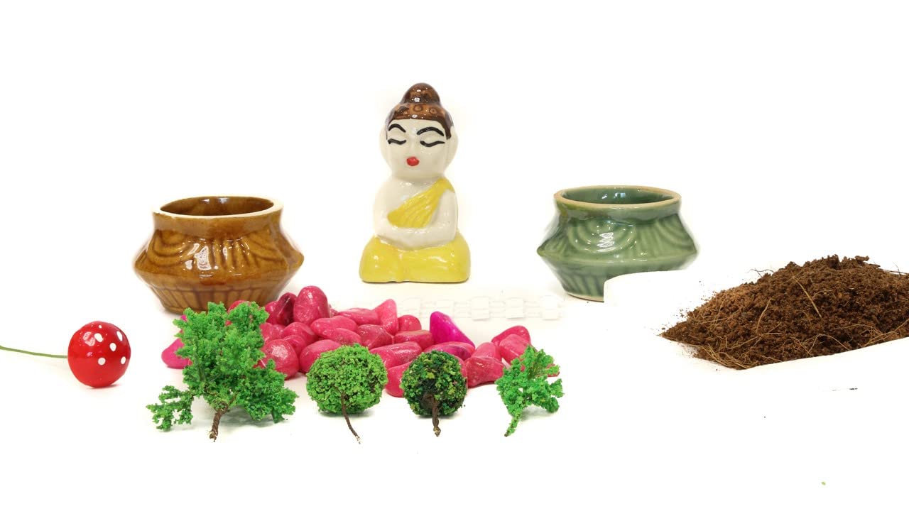 Decorative Office Table & Home Decore Miniature Cute Buddha, Pot & Tree Fairy Tray Garden, Micro Landscape and Terrarium, Accessories Showpiece Set