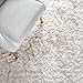SAFAVIEH Paris Shag Collection Accent Rug - 4' x 6', Ivory, Handmade Silken Glam, 2.5-inch Thick Ideal for High Traffic Areas in Entryway, Living Room, Bedroom (SG511-1212)