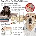 The Blissful Dog Elbow Butter for Dry, Cracked Calluses, Lick-Safe Dog Balm, Soothing Elbow Balm with Moisturizing Shea Butter, Almond, Olive, and Essential Oils, Pet Supplies, 2.25 oz. Stick