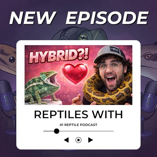 HYBRID REPTILES! Love Made These Reptiles.. Can You Identify Them? | Reptiles With Podcast