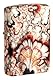 Zippo Sturmfeuerzeug - Mushroom Muster - 540 Colour - Nachfüllbar - Wiederverwendbar - Windfestes Design - Geschenkbox - Made in USA