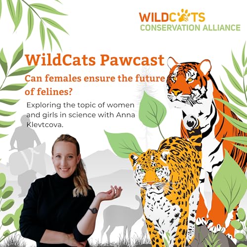 Can females ensure the future of felines?