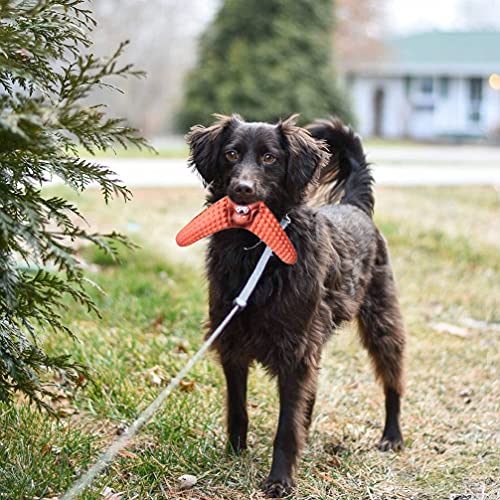 4Pcs Bumerang Hund Spielzeug Flyer Hund Spielzeug Welpen Fliegen Spielzeug Gummi Hund Kauen Molaren Zahn Reinigung Spielzeug
