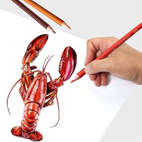 Image of 48 /72 /120 /160 /180 Oil Colored Pencils Set Pre-Sharpened Color Pencils Art Supplies For Students Adults Artists Drawing Sketching Coloring Books