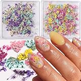 【Perfect Dried Flowers Nail Sticker】You will get 2box 3d dried flowers nail art stickers for acrylic nails supply, many pattern for you to choose, mini real natural flowers nail designs, and satisfy your rich imagination of nail DIY. 【DIY Flower Nail...