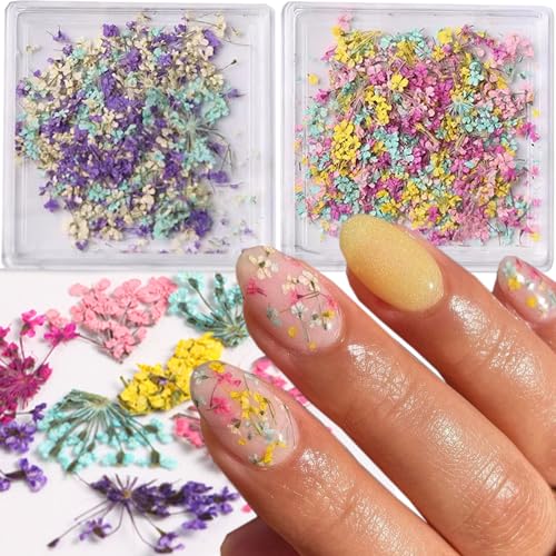 2Box Flower for Nails 3D Natural Dry Flower Nail Art Stickers Mini Mixed Dried Flowers Nail Stickers Summer Nail Art Design Acrylic Nail Supplies Real Dry Flowers for Nails DIY Crafts Accessories