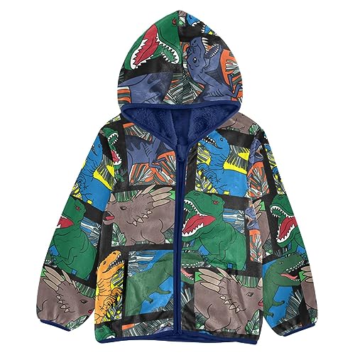 Cartoon Dinosaur Boys Fleece Hoody Jacket Zip Up Coat Warm Fall Winter Plush Jacket Long Sleeve Outerwear