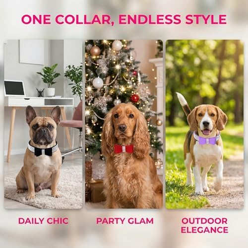 Cute Dog Collar with Bling Rhinestone for Small Medium Large Dogs
