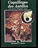 burgot coquillage antilles  Coquillages des antilles 013197
