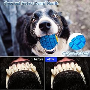 Dog-Toy-for-Aggressive-Chewers-Indestructible-Dog-Toy-Ball-Rubber-Balls-for-Dogs-Squeaky-Dog-Balls-for-Medium-Large-Dogs-Blue - Cucciolini Doodles   Dog-Toy-for-Aggressive-Chewers-Indestructible-Dog-Toy-Ball-Rubber-Balls-for-Dogs-Squeaky-Dog-Balls-for-Medium-Large-Dogs-Blue