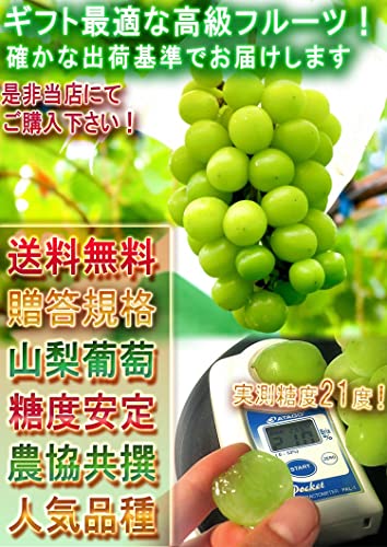 産地から玄関へ 温室シャインマスカット 種無し葡萄 2~3房入り 約800~1kg の商品画像 5