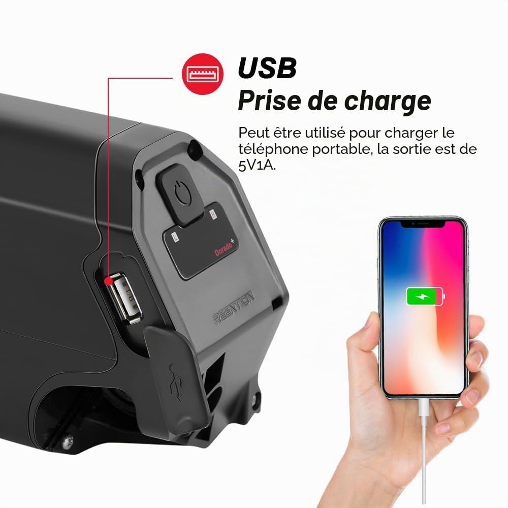 SEASON Dorado Plus 65 Ebike Batterie 36V 13Ah / 48V 13Ah 16Ah sans Chargeur - Batterie de Rechange Semi-Intube REENTION pour E-Bikes Pedelec NCM, LLobe, Fitifito, DeHawk