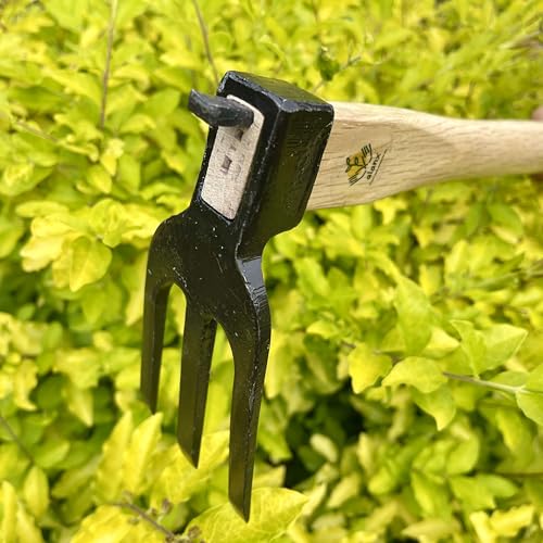 Azada manual de jardín de 14 pulgadas alanx con mango de roble miniatura 3