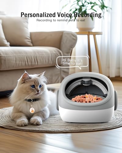 Lesotc RFID Automatic Cat Feeder, Microchip Pet Feeder, Auto Cat Feeder with Collar Sensor, Automatic Pet Feeder - Prevents Food Stealing, Suitable for Both Wet and Dry Food, 1-9 Meals Control
