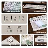 MechLands M108 100% Full Size Silent Office Keyboard with Number Pad MechLands M108 100% Full Size Silent Office Keyboard with Number Pad
