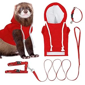 Red Ferret Sweater, Harness, and Leash Set – Ferret Clothes- Ferret Accessories – Clothes for Ferrets – Ferret Stuff – Hoodies for Ferrets – Ferret Accessories