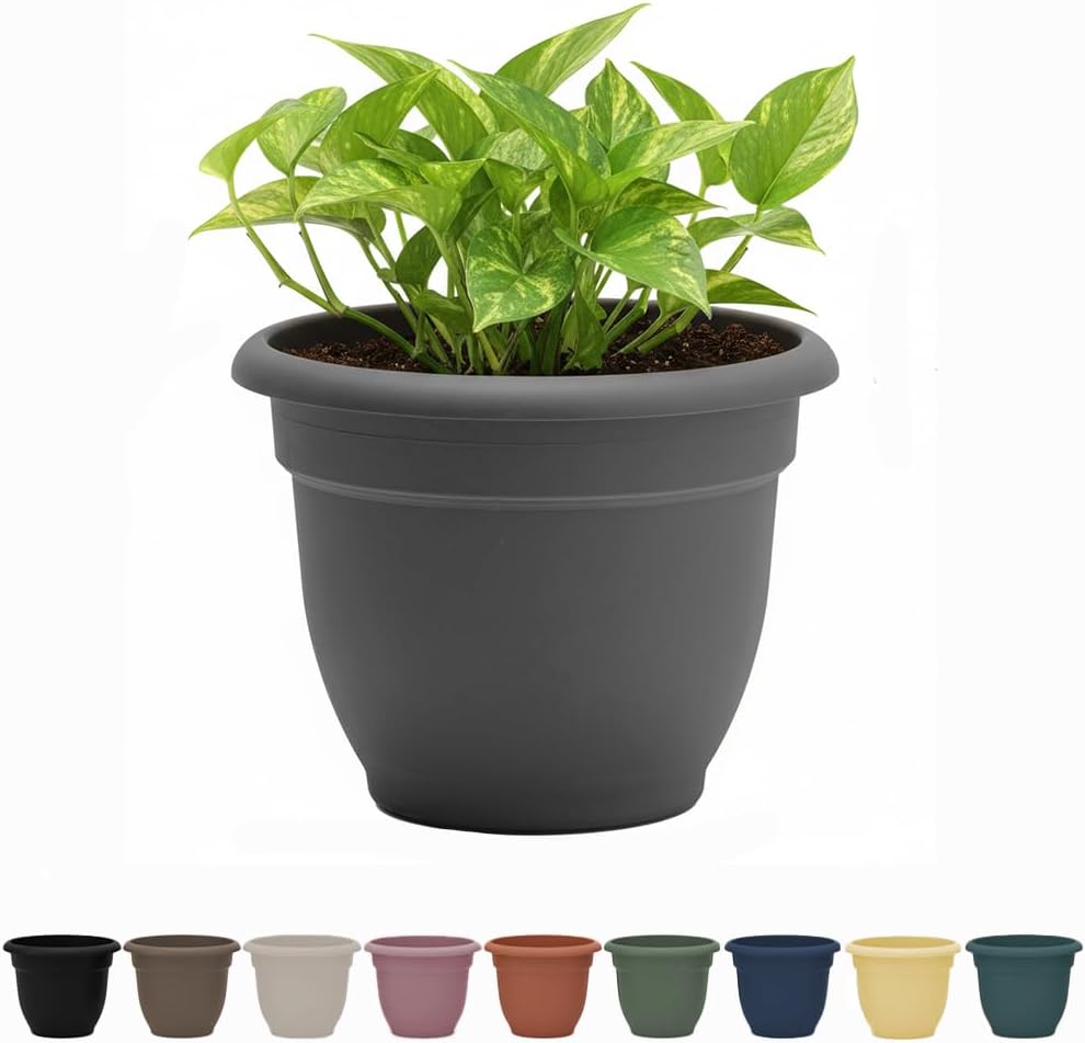 Bloem Ariana 8" Charcoal Self-Watering Resin Planter Pot - Round Rolled Rim for Indoor Outdoor Plants, Herbs & Veggies