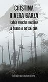 Hab&Atilde;&shy;a mucha neblina o humo o no s&Atilde;&copy; qu&Atilde;&copy;: Caminar con Juan Rulfo / There Was a Lot of Fog, or Smoke, or I'm Not Sure What: Walking with Juan Rulfo (Spanish Edition)