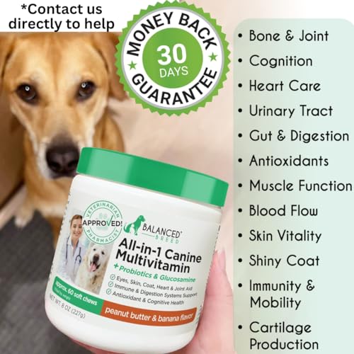 Balanced Breed All-in-1 Dog Vitamins Supplements Made in USA Non-GMO Vet-Pharmacist Approved Dog Multivitamin Probiotics Glucosamine Salmon Oil Skin Coat Supplement Dogs Senior & Adult Immune Support Balanced Breed All-in-1 Dog Vitamins Supplements Made in USA Non-GMO Vet-Pharmacist Approved Dog Multivitamin Probiotics Glucosamine Salmon Oil Skin Coat Supplement Dogs Senior & Adult Immune Support