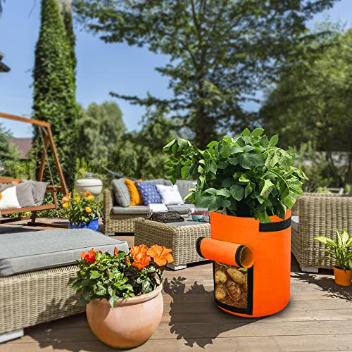 Gardzen 6 Pack Bpa-Free 10 Gallon Vegetable Grow Bags With Access Flap And Handles, Suitable For Planting Potato, Taro, Beets, Carrots, Onions, Peanut #TOP1