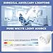 GSOIGSDKF 21W LED Medical Exam Lamp Surgical Examination Light with 360° Adjustable Illumination, Floor Stand Type Dental-Oral & Gynaecology Outpatient Cold Light Lamp for Clinical Examinations
