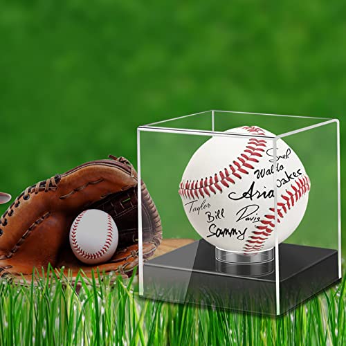 Favorfishfans 3F Baseball Display Case thumb #5