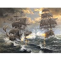 Amazon.co.jp: Meecaa Paint by Numbers 自転車 フラワー ローズ