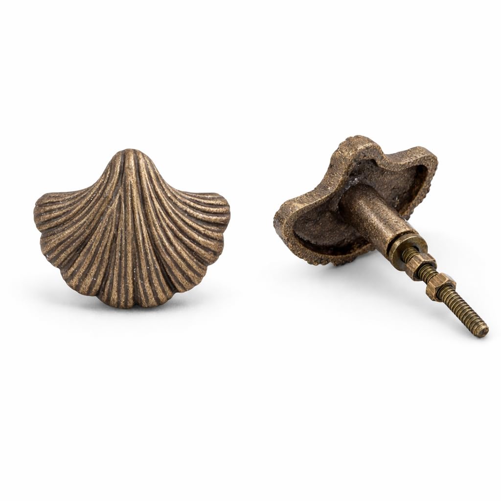Set of 2 Solid Brass Cabinet Knobs – Vintage Antique Round Drawer Knobs with Handcrafted Textured Finish – Heavy Duty Kitchen Cupboard Pull Handles (6.8 cm Screw Length, 3.8 cm Base) (seashell)