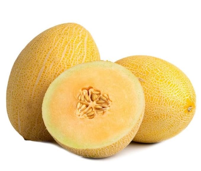 Fresh Golden Melon Dulcinea Fruit Sugar