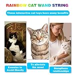 Cat Wand Toys Interactive Kitten Toys for Indoor Cats Colorful Teaser Wand String for Exercise Kitten Stick Kitty Rope Toy Rainbow Ribbon Cat Charmer -2Pcs - Image 6
