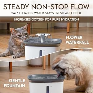 Veken 95oz/2.8L Pet Fountain, Automatic Cat Water Fountain Dog Water Dispenser with Replacement Filters for Cats, Dogs, Multiple Pets (Grey, Plastic) Veken 95oz/2.8L Pet Fountain, Automatic Cat Water Fountain Dog Water Dispenser with Replacement Filters for Cats, Dogs, Multiple Pets (Grey, Plastic)