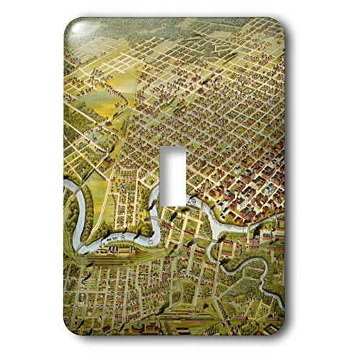 3dRose lsp_16480_1 Vintage Houston Toggle Switch