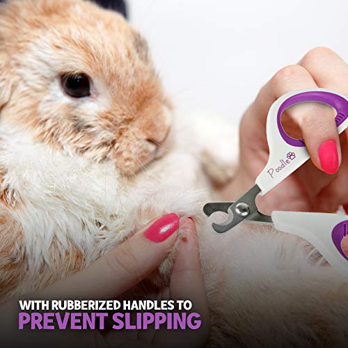 Poodle Pet Cat tesoura cortadora de unhas para gatos, gatos, cães, filhotes, coelhos e pequenos anim