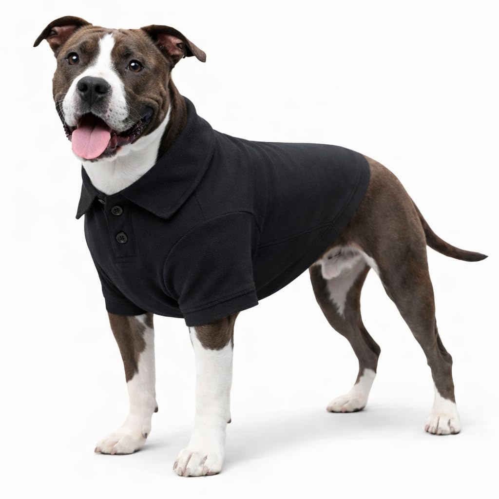 lovelonglong Basic Dog Polo Shirt Premium Cotton, Black L