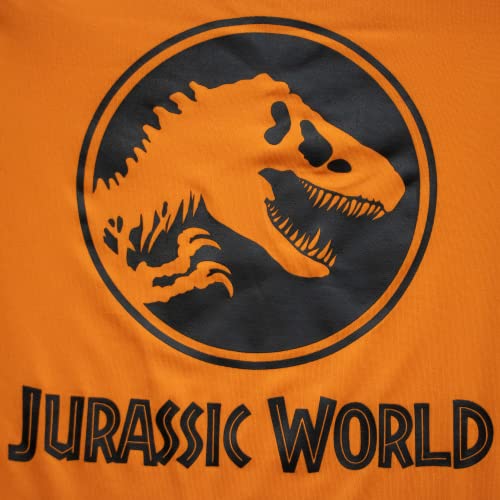 Universal Studios Boys Jurassic World Logo Rashguard And Swimshort Set Fashionable Swimwear For Kids (Orange, Size 7) #TOP2