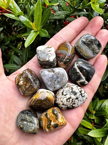 Image of GAF TREASURES 1 /2 LB Ocean Jasper Tumbled Stones, Polished Natural Sea Jasper Gemstone, Ocean Jasper Healing Crystals (Ocean Jasper)