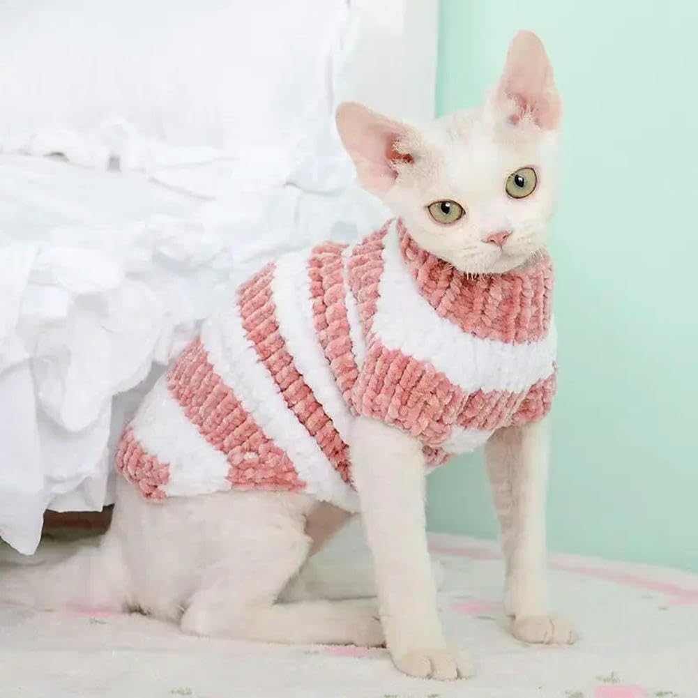 Ropa de invierno para gatitos que evita que pasen frío en interiores