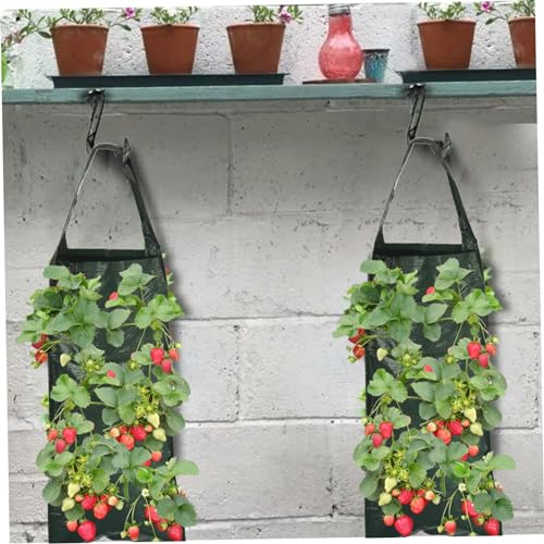 Maceteros colgantes de fresa para cultivar sin espacio y sin plagas 8